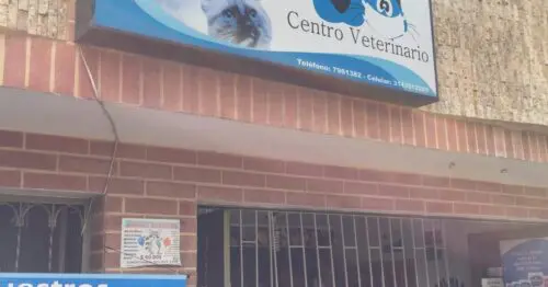 ANIMAL HEALTH CENTRO VETERINARIO ANIMAL HEALTH CENTRO VETERINARIO